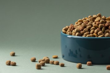 Рынок кормов для домашних животных демонстрирует устойчивый рост Рынок кормов для домашних животных демонстрирует устойчивый рост
