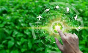 Первый рейтинг зеленых брендов в России будет опубликован весной 2025 года Первый рейтинг зеленых брендов в России будет опубликован весной 2025 года