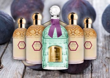 Импортеры и производители духов начали поставки маркированной продукции Импортеры и производители духов начали поставки маркированной продукции