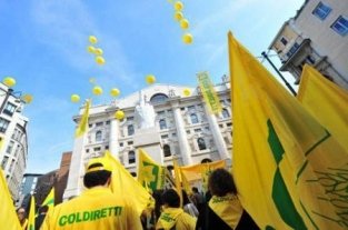 Италия потеряла 166 млн евро из-за продуктового эмбарго Италия потеряла 166 млн евро из-за продуктового эмбарго