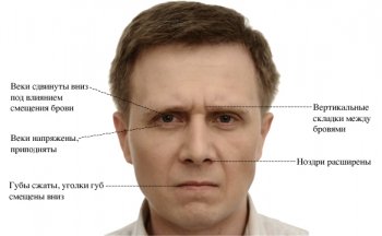 Физика Физиогномики – как «считать» собеседника и что потом с этим делать Физика Физиогномики – как «считать» собеседника и что потом с этим делать