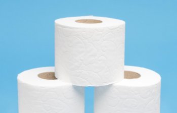 Производитель Zewa сменит владельца Производитель Zewa сменит владельца