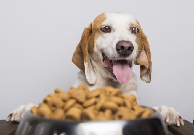 Корма для животных от Nestle подорожают с 5 февраля Корма для животных от Nestle подорожают с 5 февраля