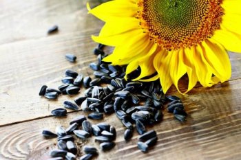 Производители подсолнечного масла снизили цены Производители подсолнечного масла снизили цены