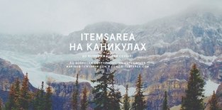 Онлайн-магазин Items Area закрылся из-за колебаний курса рубля Онлайн-магазин Items Area закрылся из-за колебаний курса рубля