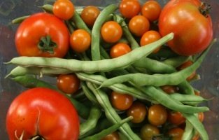 Российский рынок органической продукции ускоряет рост Российский рынок органической продукции ускоряет рост