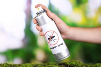 Роскачество назвало эффективные средства от комаров и клещей Роскачество назвало эффективные средства от комаров и клещей