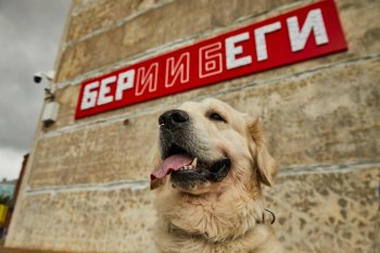На набережной «Севкабель Порт» художник создал инсталляцию «Потребитель» из 40 000 пластиковых карт На набережной «Севкабель Порт» художник создал инсталляцию «Потребитель» из 40 000 пластиковых карт