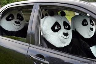 Самые странные аксессуары для автомобиля Самые странные аксессуары для автомобиля