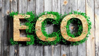 Аналитики AliExpress Россия выяснили самые популярные эко-товары у москвичей Аналитики AliExpress Россия выяснили самые популярные эко-товары у москвичей