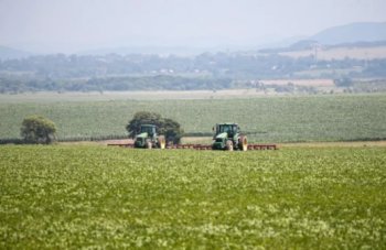 Для продукции с «дальневосточного гектара» организуют ярмарки Для продукции с «дальневосточного гектара» организуют ярмарки