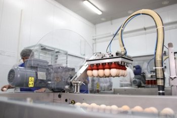 Банк «Траст» осенью выставит на торги агрохолдинг «Русское зерно» Банк «Траст» осенью выставит на торги агрохолдинг «Русское зерно»