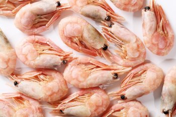 ГК «Агама» выкупила долю в крупном мировом производителе морепродуктов ГК «Агама» выкупила долю в крупном мировом производителе морепродуктов