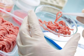 «Немолоко» и «немясо»: как развивается рынок искусственных продуктов «Немолоко» и «немясо»: как развивается рынок искусственных продуктов