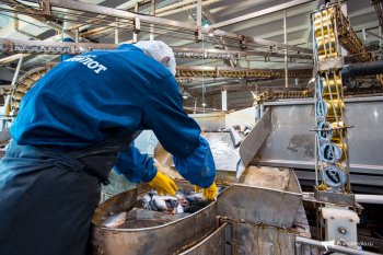 «Доброфлот» построил в Приморье крупный склад для рыбы «Доброфлот» построил в Приморье крупный склад для рыбы
