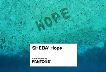 Pantone совместно с SHEBA выпустил цвет для привлечения внимания к проблемам экологии мирового океана Pantone совместно с SHEBA выпустил цвет для привлечения внимания к проблемам экологии мирового океана