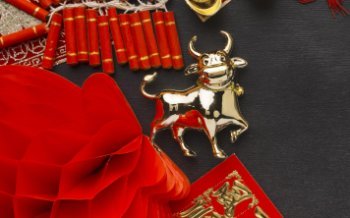 Fix Price выяснил, как россияне относятся к китайскому Новому году Fix Price выяснил, как россияне относятся к китайскому Новому году