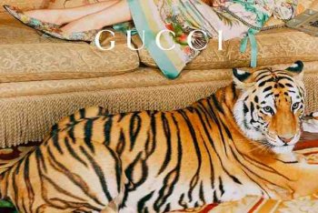 Борцы за права животных осуждают рекламную кампанию Gucci с тиграми Борцы за права животных осуждают рекламную кампанию Gucci с тиграми