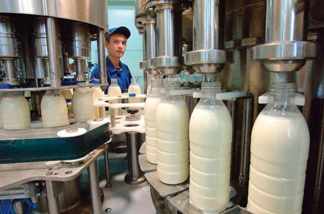 Испанские молочники встревожены введенными Россией санкциями