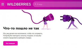 Wildberries как символ неустойчивости: еще один шокирующий прогноз, который, скорее всего, сбудется Wildberries как символ неустойчивости: еще один шокирующий прогноз, который, скорее всего, сбудется