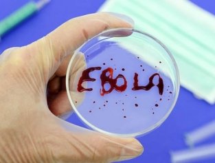 Если Эбола придет в Россию Если Эбола придет в Россию