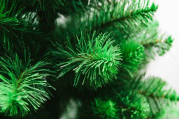 Wildberries: Календари и искусственные ели возглавили рейтинг самых быстрорастущих товаров ноября Wildberries: Календари и искусственные ели возглавили рейтинг самых быстрорастущих товаров ноября