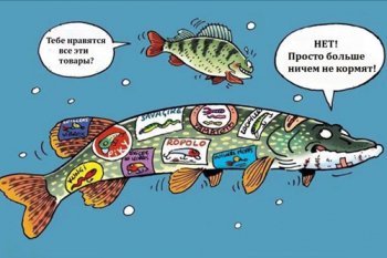 1 товар = 1 сеть: зачем продавать одинаково в разные сети? 1 товар = 1 сеть: зачем продавать одинаково в разные сети?