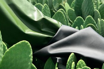 Кожа из кактусов и «грибной» текстиль: 5 самых интересных технологичных эко-проектов глобальных fashion брендов (видео) Кожа из кактусов и «грибной» текстиль: 5 самых интересных технологичных эко-проектов глобальных fashion брендов (видео)