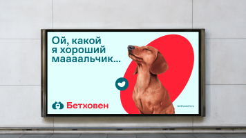 Сеть зоомагазинов «Бетховен» вышла на Wildberries Сеть зоомагазинов «Бетховен» вышла на Wildberries