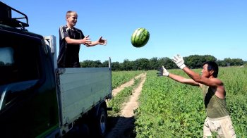 «Лента Онлайн»: самый высокий спрос на арбузы в Ленинградской и Нижегородской областях «Лента Онлайн»: самый высокий спрос на арбузы в Ленинградской и Нижегородской областях
