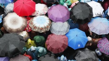 Импорт зонтов вырос в 2,5 раза Импорт зонтов вырос в 2,5 раза