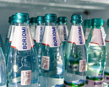 Правительство Грузии станет совладельцем «Боржоми» Правительство Грузии станет совладельцем «Боржоми»