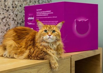 «Лента» приостановила заказы кормов для животных от Mars «Лента» приостановила заказы кормов для животных от Mars