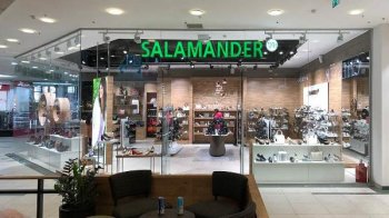 Ara Group создаст новый зонтичный бренд Salamander & friends Ara Group создаст новый зонтичный бренд Salamander & friends