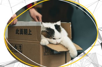 История российского e-commerce 2013-2023: год 2019 История российского e-commerce 2013-2023: год 2019