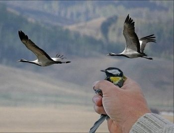 Соревноваться нельзя продавать Соревноваться нельзя продавать