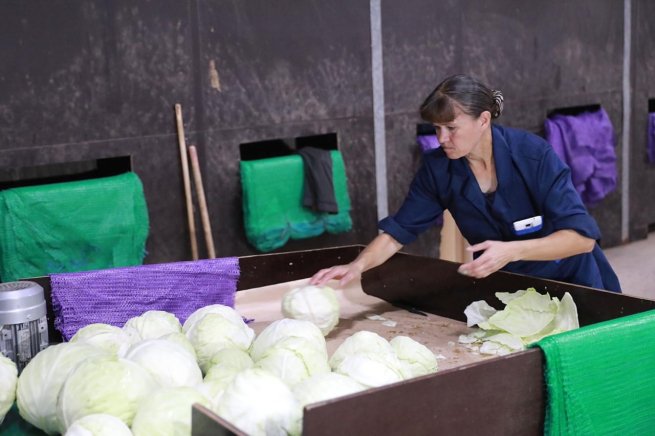 X5 расширяет сотрудничество с агрегаторами в Ярославской области X5 расширяет сотрудничество с агрегаторами в Ярославской области