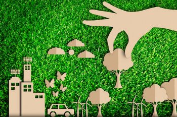 Самые актуальные тренды в экологическом менеджменте Самые актуальные тренды в экологическом менеджменте