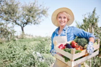 В России появился первый ГОСТ для фермерской продукции В России появился первый ГОСТ для фермерской продукции
