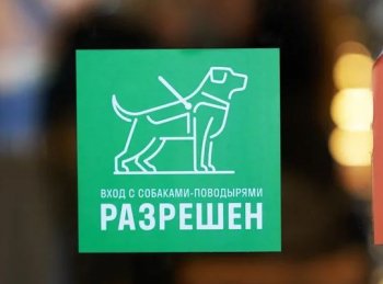 В кофейнях Cofix помогут незрячим В кофейнях Cofix помогут незрячим