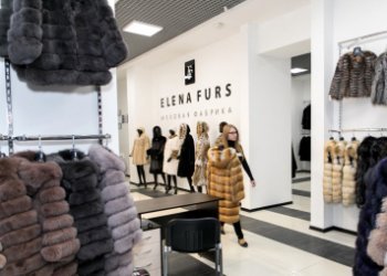 Владельцев Elena Furs привлекают к субсидиарной ответственности Владельцев Elena Furs привлекают к субсидиарной ответственности