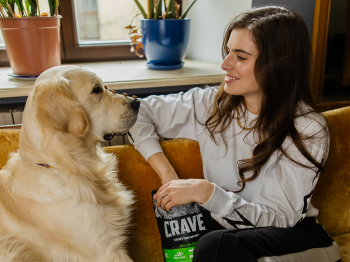 CRAVE™ запустил сервис по генерации историй происхождения пород домашних животных CRAVE™ запустил сервис по генерации историй происхождения пород домашних животных