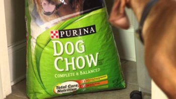 Purina остановила производство и продажу в РФ некоторых кормов для кошек и собак Purina остановила производство и продажу в РФ некоторых кормов для кошек и собак