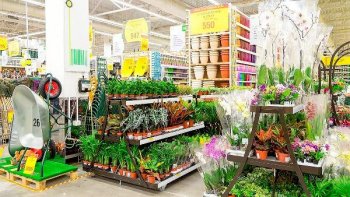 «Леруа Мерлен» открывает садовые центры по всей стране «Леруа Мерлен» открывает садовые центры по всей стране