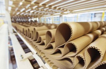 Во Владимире открыли крупнейшее в регионе производство упаковки из гофрокартона Во Владимире открыли крупнейшее в регионе производство упаковки из гофрокартона