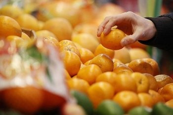 Роскачество: Продавцы выдают марокканские мандарины за абхазские  Роскачество: Продавцы выдают марокканские мандарины за абхазские