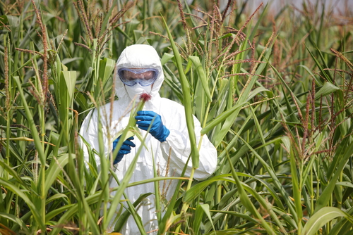 Владимир Путин подписал закон о запрете на поставку ГМО-продукции в РФ