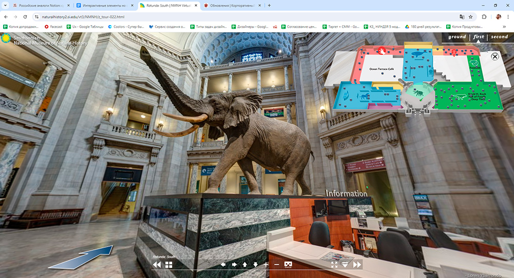 Интерактивные элементы, которые повышают онлайн-продажи и лояльность клиентов Интерактивные элементы, которые повышают онлайн-продажи и лояльность клиентов