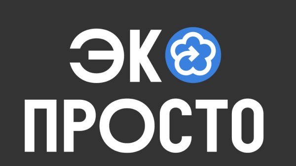 «ВкусВилл» разработал единую айдентику для экологических проектов «ВкусВилл» разработал единую айдентику для экологических проектов