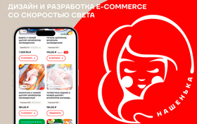 Как за 3,5 месяца запустить интернет-магазин продуктов Как за 3,5 месяца запустить интернет-магазин продуктов